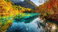 Namanya Five Flower Lake, berada di Jiuzhaigou, sebuah cagar alam dan taman nasional yang letaknya berada di Provinsi Sichuan, China. 