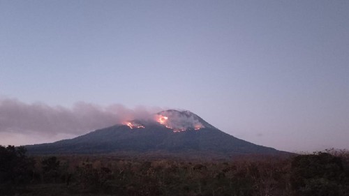 Gunung Ile Lewotolok kembali erupsi. Lontaran lava pijarnya menyebabkan kebakaran hutan dan lahan (karhutla) di sekitar lereng. (dok BNPB)