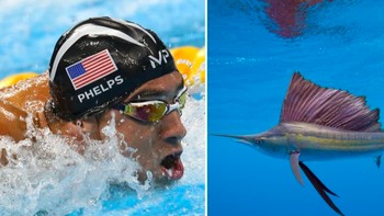 Perenang tercepat. Rekor manusia: 7,08km/jam oleh Michael Phelps (AS). Rekor hewan: 40km/jam oleh ikan layar (sailfish). Foto: Sciece Focus
