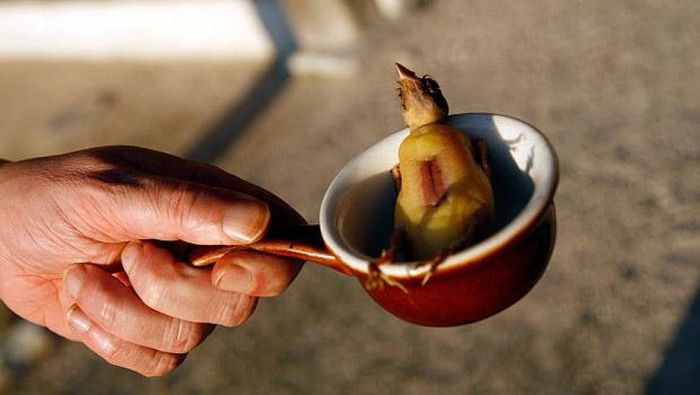 Ngeri! 5 Makanan Hasil Penyiksaan Hewan Ini Kontraversial