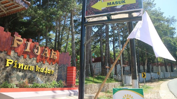 Tempat wisata kawasan Pinus Kajar (Pijar) Desa Kajar, Kecamatan Dawe, Kudus mengibarkan bendera putih. Mereka sudah tutup dua bulan lebih, tapi tidak ada solusi sama sekali. (Dian Utoro Aji/detikcom) Tempat wisata kawasan Pinus Kajar (Pijar) Desa Kajar, Kecamatan Dawe, Kudus mengibarkan bendera putih. Mereka sudah tutup dua bulan lebih, tapi tidak ada solusi sama sekali. (Dian Utoro Aji/detikcom)