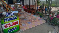 Tempat ini memiliki luas lahan 2,8 hektar. Rahmat Prasteyo, sang pemilik, mengaku terpaksa menjual separuh lahan obwis ini karena sudah tak punya penghasilan imbas pandemi Corona.  (Jalu Rahman Dewantara/detikcom)