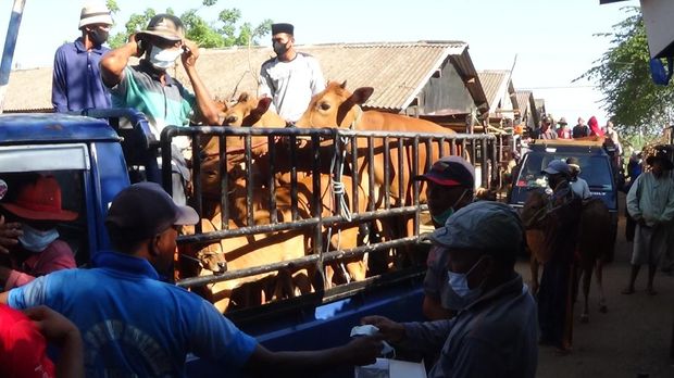 Pasar hewan sumenep dibuka, pedagang abai prokes