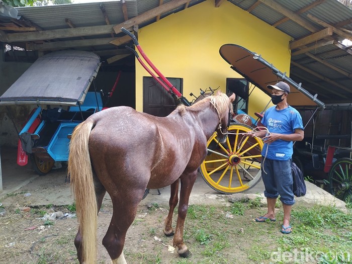 Pemilik andong di Magelang