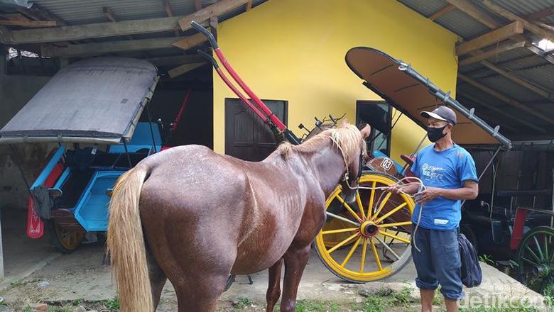 Pemilik andong di Magelang Pemilik andong di Magelang