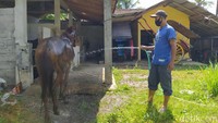 Salah satu kusir andong bernama Bari mengaku sudah libur dua tahun menjadi kusir andong. Sebelum pandemi dan saat liburan, sehari bisa menarik 5 sampai 6 kali, bahkan hingga 10 kali. Namun sekarang, sama sekali tidak ada penumpang. (Eko Susanto/detikTravel)