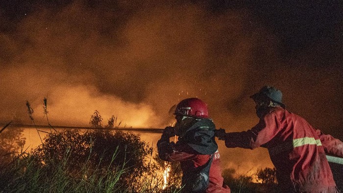 Sedikitnya 15 hektar lahan di kawasan Sungai Rambutan Kecamatan Indralaya Utara, Kabupateen Ogan Ilir terbakar.