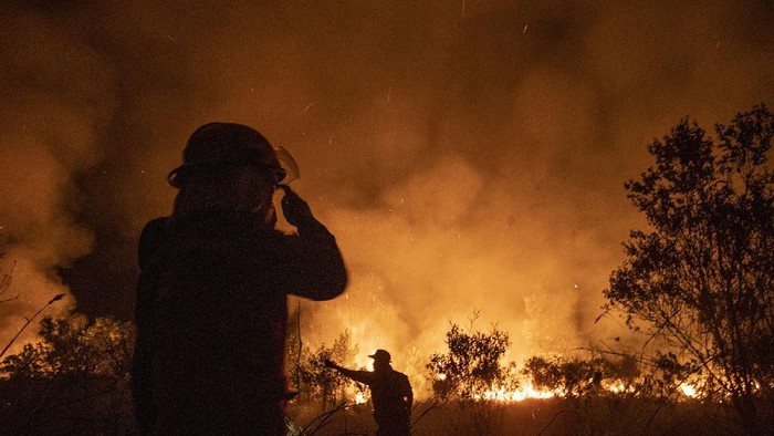 Sedikitnya 15 hektar lahan di kawasan Sungai Rambutan Kecamatan Indralaya Utara, Kabupateen Ogan Ilir terbakar.