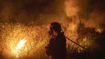 Merah Membara Kobaran Api Bakar Lahan di Ogan Ilir