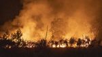 Merah Membara Kobaran Api Bakar Lahan di Ogan Ilir