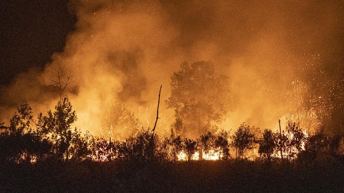 Penampakan Kobaran Api yang Bakar Lahan di Ogan Ilir Sedikitnya 15 hektar lahan di kawasan Sungai Rambutan Kecamatan Indralaya Utara, Kabupateen Ogan Ilir terbakar.