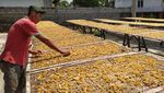 Produksi Kerupuk Rambak di Magelang Tetap Digenjot