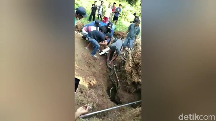 Warga menemukan ular sanca beserta 30 telurnya di Purwakarta