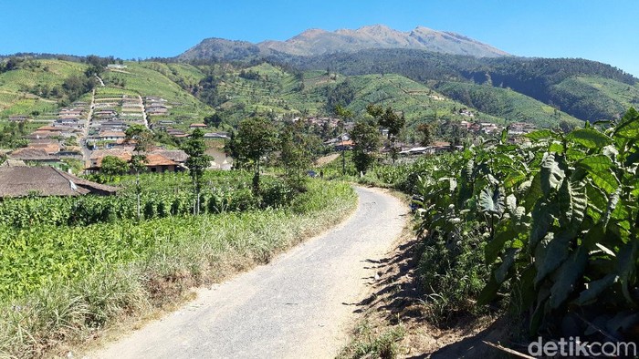 6 Pendaki dan 2 Porter Disanksi Tidak Bolek Naik Merbabu Selama 2 Tahun