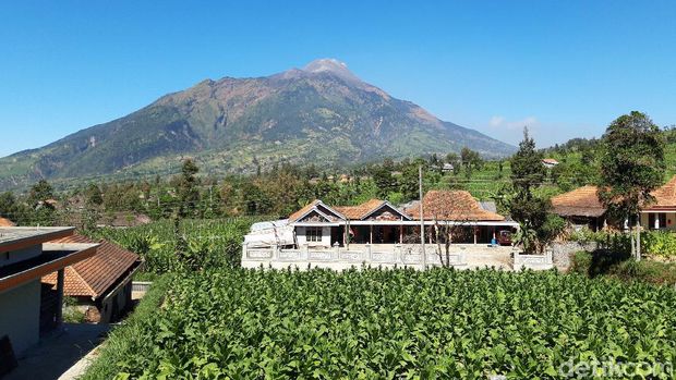 6 Pendaki dan 2 Porter Disanksi Tidak Bolek Naik Merbabu Selama 2 Tahun