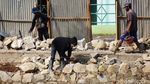 Penurapan Anak Sungai Bekasi untuk Cegah Longsor
