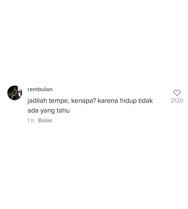 Yang satu ini ada benarnya juga sih. Tapi masa harus jadi tempe dulu? Kalau kamu, tim tempe atau tahu nih? Foto: Instagram/@skrensyot