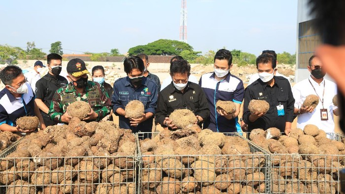 Mentan Saat Meninjau Pabrik Porang di Madiun