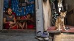 Potret Kampung yang Puluhan Tahun Mengapung di Jakarta Barat