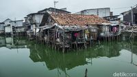 Potret Kampung Yang Puluhan Tahun Mengapung Di Jakarta Barat