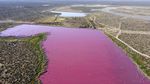 Saat Danau di Argentina Berwarna Pink Gegara Limbah