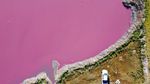 Saat Danau di Argentina Berwarna Pink Gegara Limbah