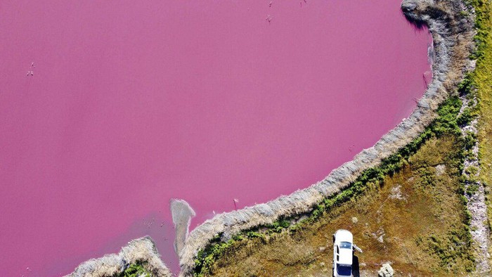 Danau di Argentina berubah warna jadi pink. Ahli dan aktivis lingkungan pun salahkan polusi dari limbah bahan kimia yang kerap digunakan untuk awetkan udang.