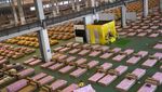 Potret Gudang Kargo Bandara Bangkok yang Disulap Jadi RS