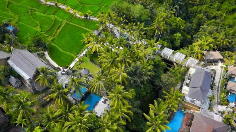 Wapa di Ume Resort & Spa Sidemen, Ubud, Bali