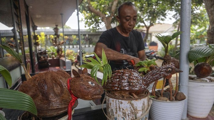 Warga mengerdilkan bibit pohon kelapa berkarakter hewan di Desa Kemiri Barat, Subah, Kabupaten Batang, Jawa Tengah, Sabtu (31/7/2021). Menurut warga itu, budi daya tanaman pohon kelapa yang dikerdilkan atau menggunakan teknik bonsai tersebut dapat ditingkatkan nilai jualnya dengan membentuk tempurung kelapanya menjadi sebuah karakter dan dijual dengan harga rata-rata Rp300 ribu per pohon. ANTARA FOTO/Harviyan Perdana Putra/wsj.