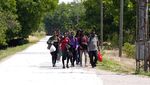 Intip Nasib Para Imigran di Perbatasan Serbia