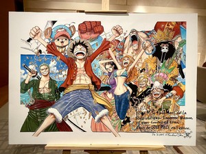 Toei Animation Di-Hack, Anime One Piece Tunda Tayang!