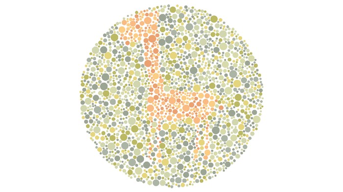 Kelihatan Nggak? Cuma yang Punya Mata Tajam yang Bisa Lihat Hewan di Gambar Ini