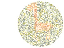 Kelihatan Nggak? Cuma yang Punya Mata Tajam yang Bisa Lihat Hewan di Gambar Ini