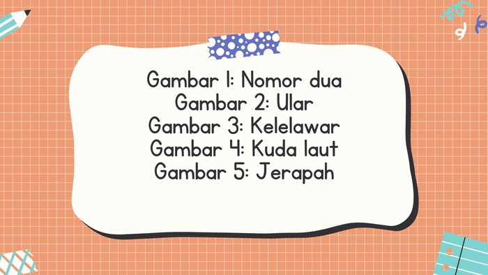 Tes buta warna detikHealth.