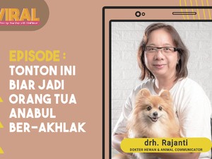 Penjelasan Etika Memelihara Anabul Biar Tak Dibunuh Tetangga