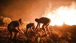 Potret Dahsyatnya Kebakaran Hutan di Turki
