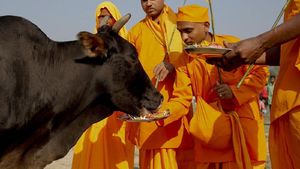 Umat Hindu Tak Konsumsi Daging Sapi, Ini Kisah di Baliknya