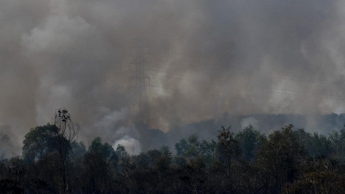 Asap membubung tinggi dari lahan yang terbakar di Desa Palem Raya, Indralaya Utara, Ogan Ilir (OI), Sumatera Selatan, Sabtu (31/7/2021). Tidak adanya akses dan sumber air membuat petugas kesulitan untuk melakukan pemadaman dari darat. ANTARA FOTO/Nova Wahyudi/wsj.