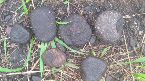 Batu digunakan untuk masak  ikan presto