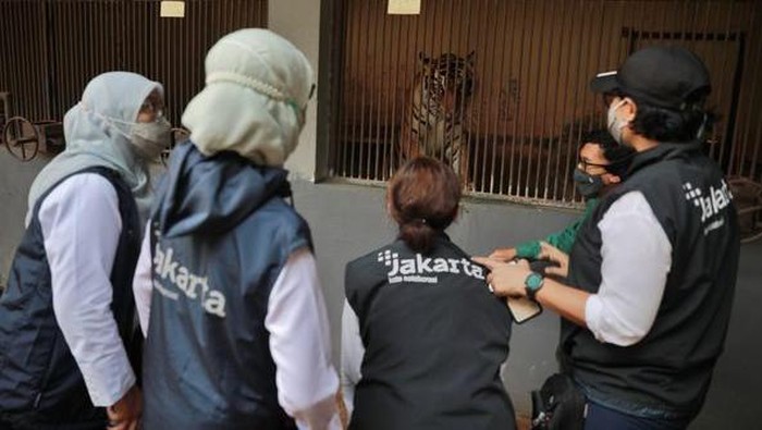 Harimau di Taman Margasatwa Ragunan positif Corona (Dok. FB Anies Baswedan)