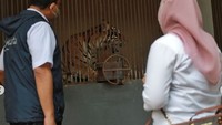 Sekitar tiga minggu lalu, perawat satwa di Ragunan memperhatikan bahwa Hari dan Tino tampak sakit dan bergejala seperti COVID, yaitu flu, lemas dan sesak napas. TMR langsung bertindak cepat, memanggil petugas swab paling berani sedunia untuk mengambil sampel swab Hari dan Tino dan mengirimkannya ke Laboratorium Bioteknologi milik Pusat Studi Satwa Primata, Institut Pertanian Bogor. Ternyata hasil tes PCR menunjukkan Hari dan Tino positif COVID-19, jelasnya.