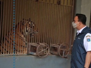 Dua Warga Khusus DKI Positif Covid-19 dan Isoman di Ragunan