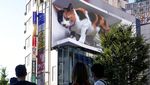 Ini Kucing Raksasa yang Bikin Salah Fokus di Tokyo