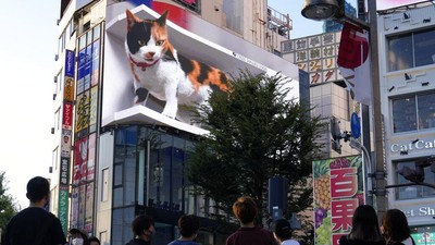 Ini Kucing Raksasa yang Bikin Salah Fokus di Tokyo