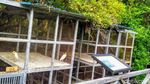 Negeri Burung dari Situbondo