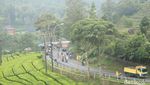 Kebun Teh Ciwidey yang Tenang Dibikin Gempar oleh Wanita Bercadar Pamer Kelamin
