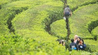 Udara di lokasi tersebut sangat sejuk serta memiliki pemandangan indah sehingga banyak orang datang untuk sekedar berfoto ataupun bersantai sejenak. Lokasi ini dikenal sebagai salah satu spot foto favorit pelancong (Foto: Muhammad Iqbal/detikTravel)
