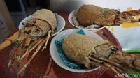 bakso klenger Rp 20 ribu merupakan bakso yang paling laku di warungnya dan berukuran satu mangkuk penuh. Sementara bakso klenger harga Rp 1 - 2 juta berukuran satu ember besar penuh yang biasa dipesan pembeli luar kota. Foto: Mochamad Saifudin