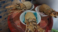 Iwan menambahkan, pihaknya kini tengah membuka menu baru berupa bakso lobster air tawar seharga sekitar Rp 25 ribu. Bahan baku lobster tersebut ia dapatkan dari sejumlah peternak udang lobster air tawar yang ada di Demak. Foto: Mochamad Saifudin